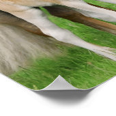 ハフリンガーウマズキュートフォールキスムームアニマルフォト ポスター (角)