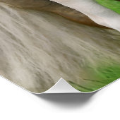 ハフリンガーウマズキュートフォールキスムーム写真 ポスター (コーナー)