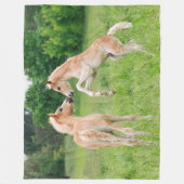 ハフリンガーウマズキュートフォール飼育、居心地の良い フリースブランケット (正面)