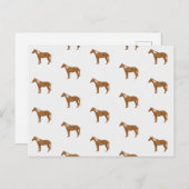 ハフリンガーホースエクス絵画エストリアンの動物愛好家 ポストカード (正面/裏面)