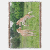 ハフリンガー馬かわいい人馬の飼育 – 毛布 (正面縦)