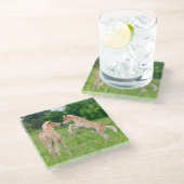 ハフリンガー馬の可愛い馬の育成遊と飼育- ガラスコースター (アングル)