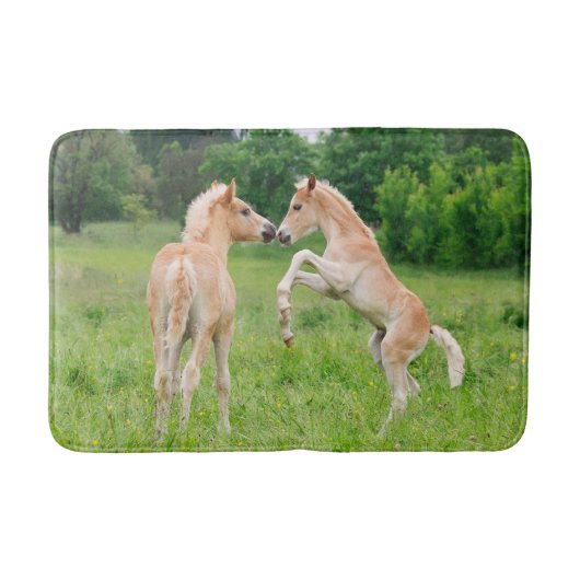 ハフリンガー馬の可愛い馬の育成遊と飼育- バスマット (正面)
