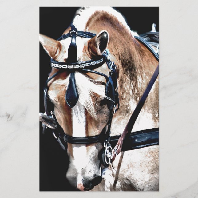 ハフリンガー (正面)