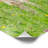 ハフリンジャー馬かわいい人馬の飼育 ポスター (コーナー)