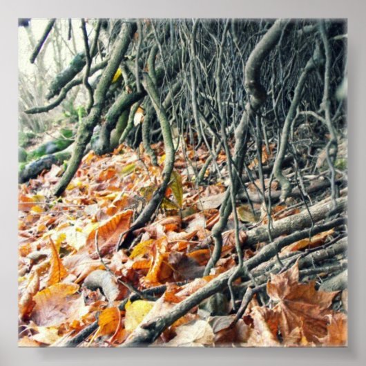 ハフレン川岸 ポスター (正面)