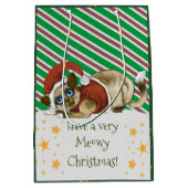 ハブアメロイクリスマス猫ちゃんメディア抱き枕 ミディアムペーパーバッグ (正面)