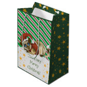 ハブアメロイクリスマス猫ちゃんメディア抱き枕 ミディアムペーパーバッグ (正面アングル)