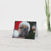 ハプビーの休日 カード (正面)