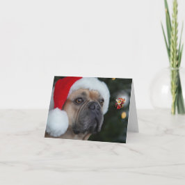 ハプビーの休日 カード