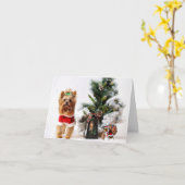 ハプビーの休日 カード (黄色い花)