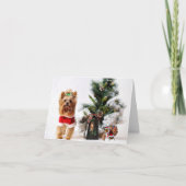 ハプビーの休日 カード (正面)