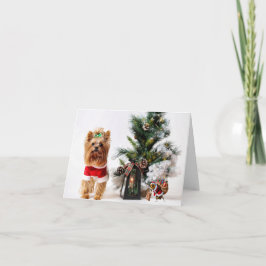 ハプビーの休日 カード