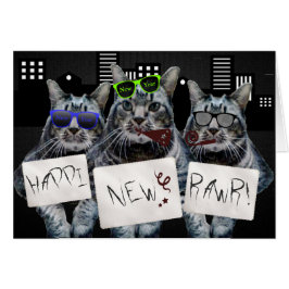 ハプピニューラー子猫トリオ