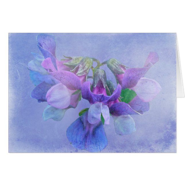 ハマエンドウの花 (正面横)