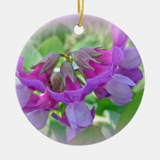 ハマエンドウ- japonicus Lathyrus -野生の花 セラミックオーナメント (正面)
