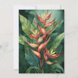 ハマクーア・ヘリコニア シーズンカード