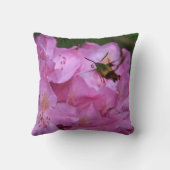 ハマグバード蛾 クッション (裏面)