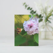 ハマグバード蛾 ポストカード (スタンド正面)