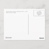 ハマン・バーン・ポストカード ポストカード (裏面)