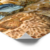 ハマーヘッドシャークオーバーコーラルリーフ ポスター (角)