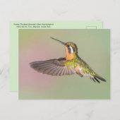 ハミかわいらしグ飛んでいる ポストカード (正面/裏面)