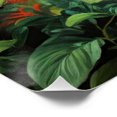 ハミカラフルドリ ポスター (コーナー)