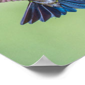 ハミカラフル飛んでいるドリ ポスター (角)