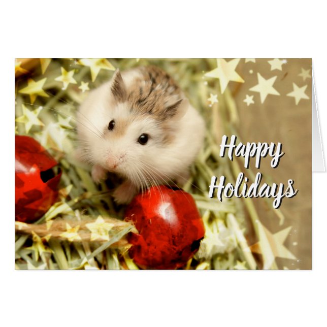 ハミビルホリデイレッドベル (正面横)