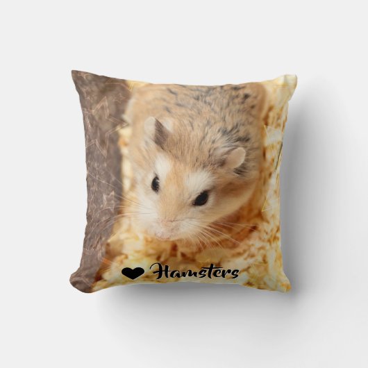 ハミビル – かわいいハムスター クッション (正面)