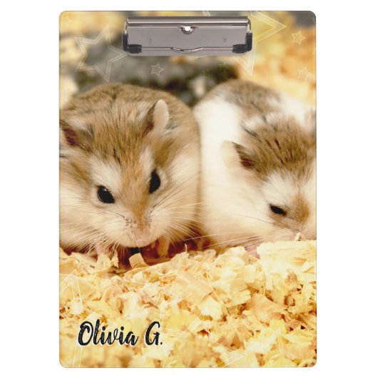 ハミビル – かわいいハムスター クリップボード (正面)