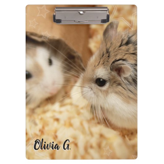 ハミビル – かわいいハムスター クリップボード (正面)