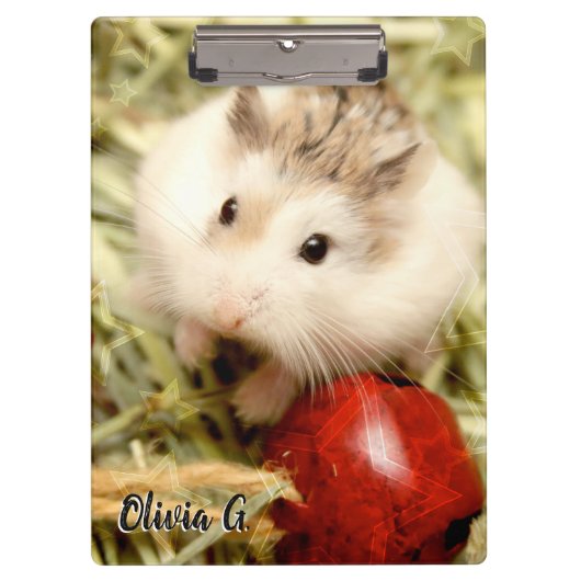 ハミビル – かわいいハムスター クリップボード (正面)