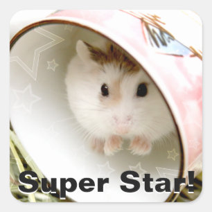 ハミビル – かわいいハムスター スクエアシール