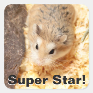 ハミビル – かわいいハムスター スクエアシール