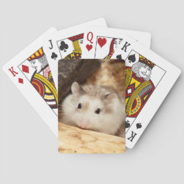 ハミビル – かわいいハムスター トランプ