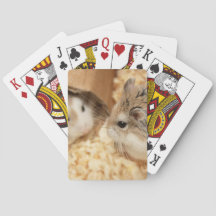 ハミビル – かわいいハムスター