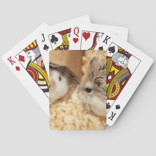 ハミビル – かわいいハムスター トランプ (裏面)