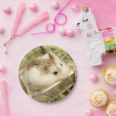 ハミビル – かわいいハムスター ペーパープレート (パーティー)