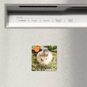 ハミビル – かわいいハムスター マグネット (インサイチュ (食洗機))