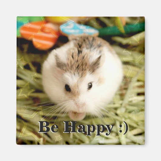 ハミビル – かわいいハムスター マグネット (正面)