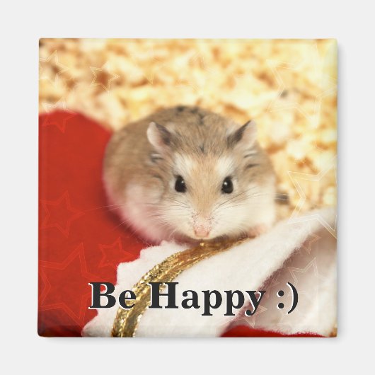 ハミビル – かわいいハムスター マグネット (正面)