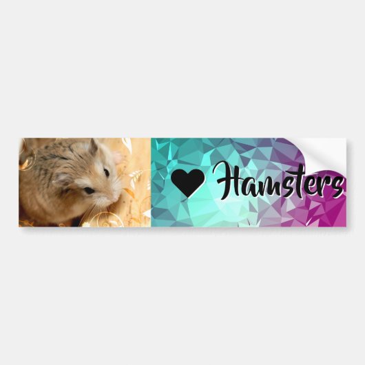 ハミビル – I Love Hamster バンパーステッカー (正面)