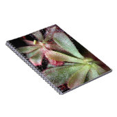 ハミルトンの日露の植物の写真 ノートブック (右側)