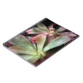 ハミルトンの日露の植物の写真 ノートブック (左側)