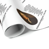 ハミルトンシステムよい1つの引用文完全がないため ラッピングペーパー (ロールコーナー)