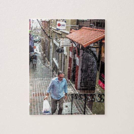 ハミルトン背部St ジグソーパズル (縦)