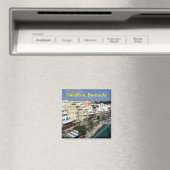 ハミルトン・バミューダ磁石 マグネット (インサイチュ (食洗機))