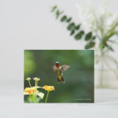 ハミングしてハイハイと言え! ポストカード (スタンド正面)