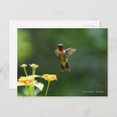 ハミングしてハイハイと言え! ポストカード (正面/裏面)